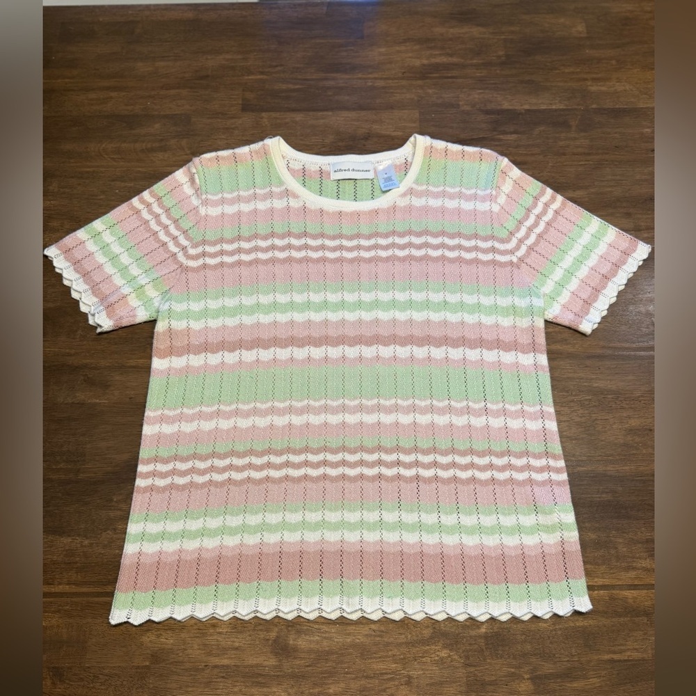 Alfred Dunner Knit Pullover Sweater Shirt Women’s SZ M Pastel Chevron Cottage